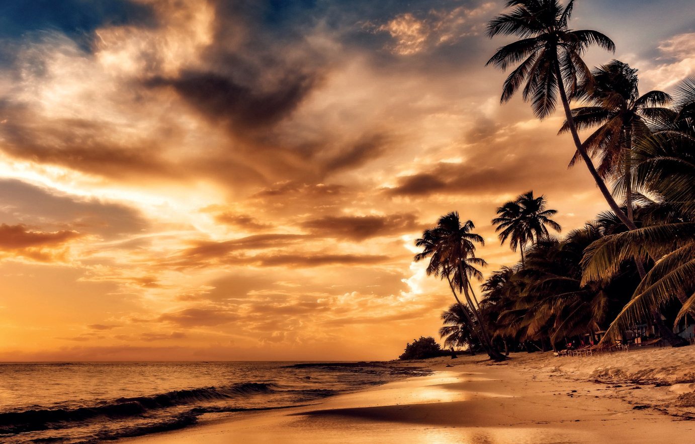 Punta Cana beach at sunset, palms over the sand